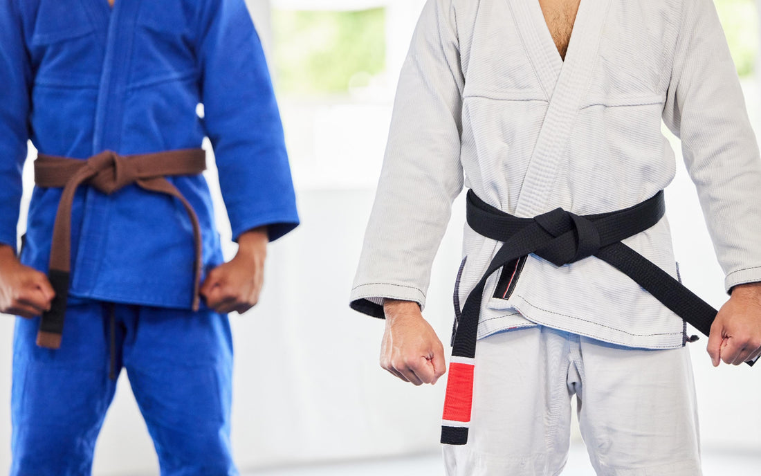 Two martial artists standing side by side, one wearing a blue gi with a brown belt and the other wearing a white gi with a black belt.
