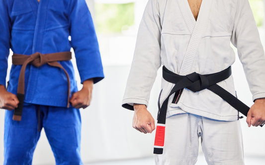 Two martial artists standing side by side, one wearing a blue gi with a brown belt and the other wearing a white gi with a black belt.