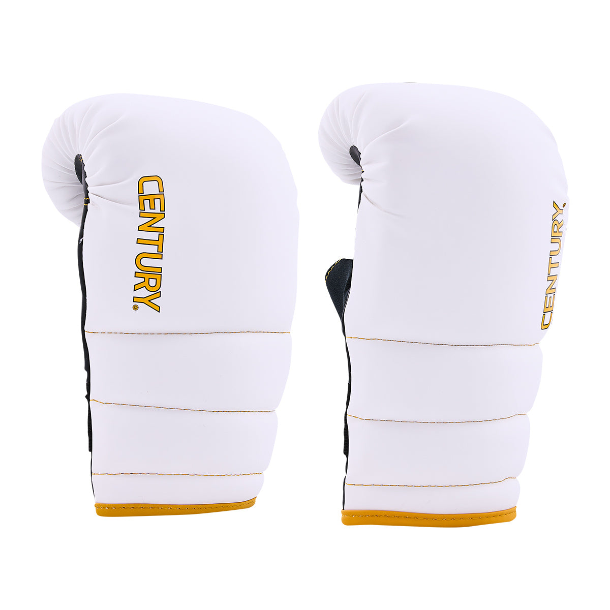 Partner Training Combo
