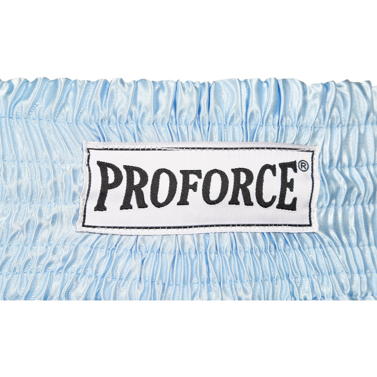 ProForce Sport® Angel Wing Muay Thai Shorts - w/ Light Blue Bows