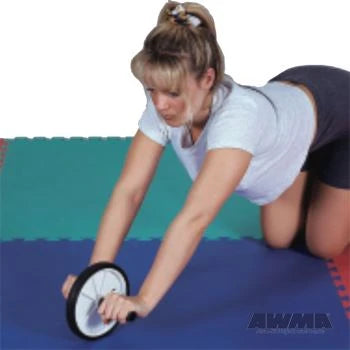 Exercise Wheel