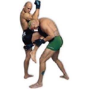 Heavyweight Champ Bas Ruten's Extreme Pancrase Series