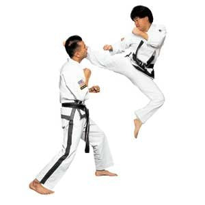John Chung's Perfect Tae Kwon Do Series