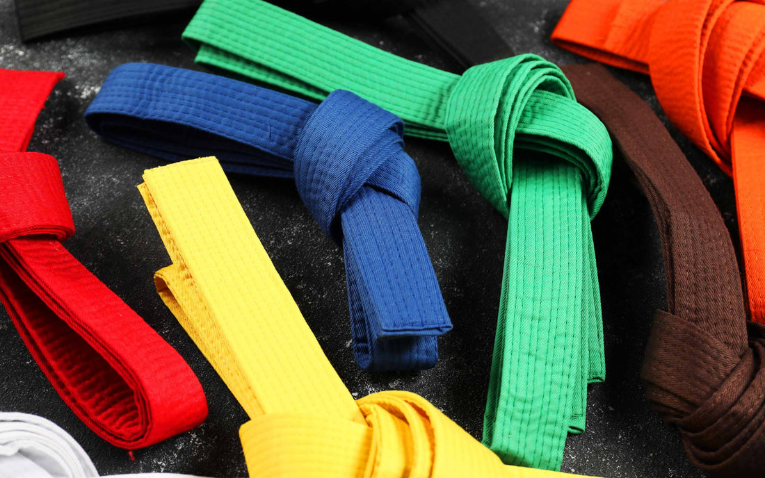 What Do the Different Karate Belt Colors Mean?