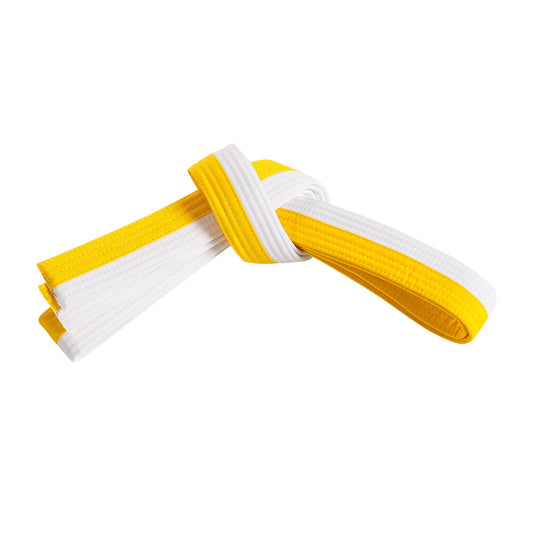 Double Wrap Two Tone Belt