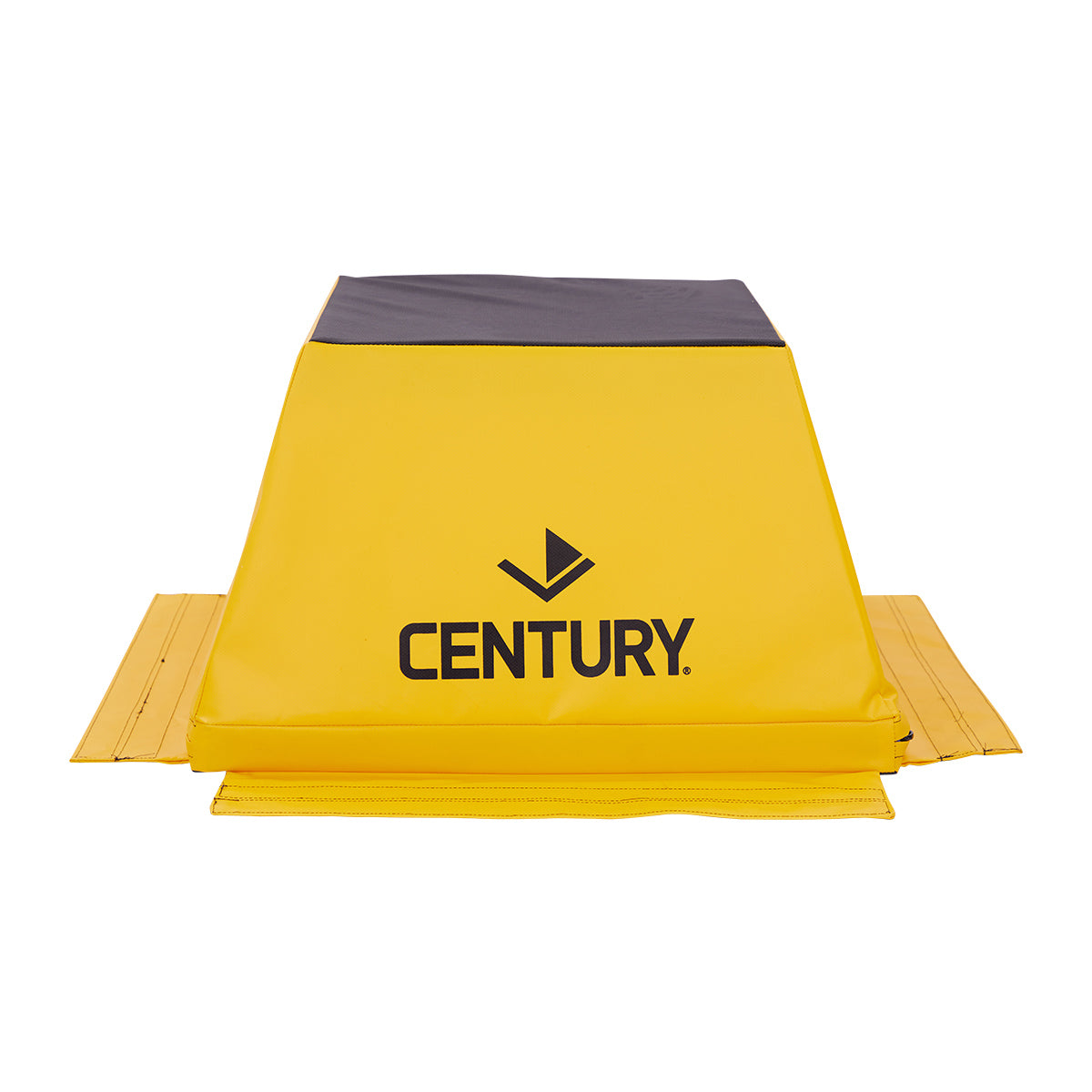Century Ninja Post