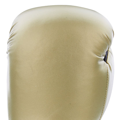 Century Custom Boxing Glove