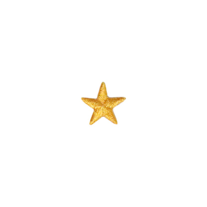 Achievement Star Patch